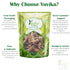 YUVIKA Marod Phali - Marori - Helicteres Isora - Avaitini Screw Beans